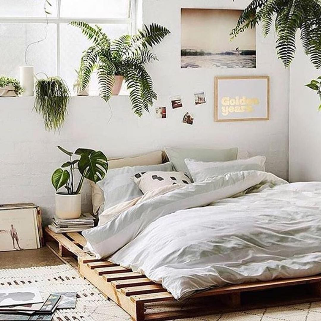 cama de pallet