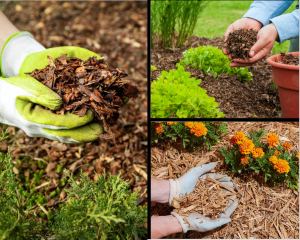 coberturas mortas para jardim