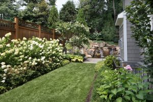 Ampliar quintal estreito