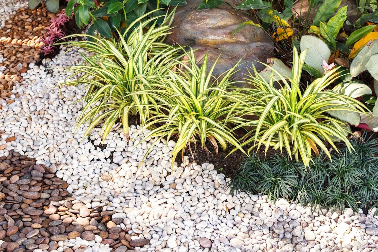 espaço de jardim com cascalhos e plantas