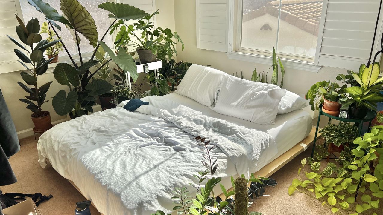quarto pequeno cheio de plantas