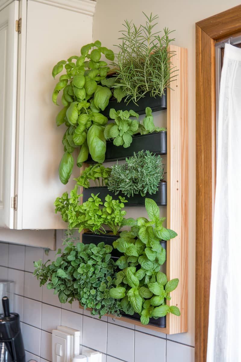 Ervas cozinha rústica